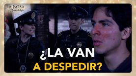 Policia 6